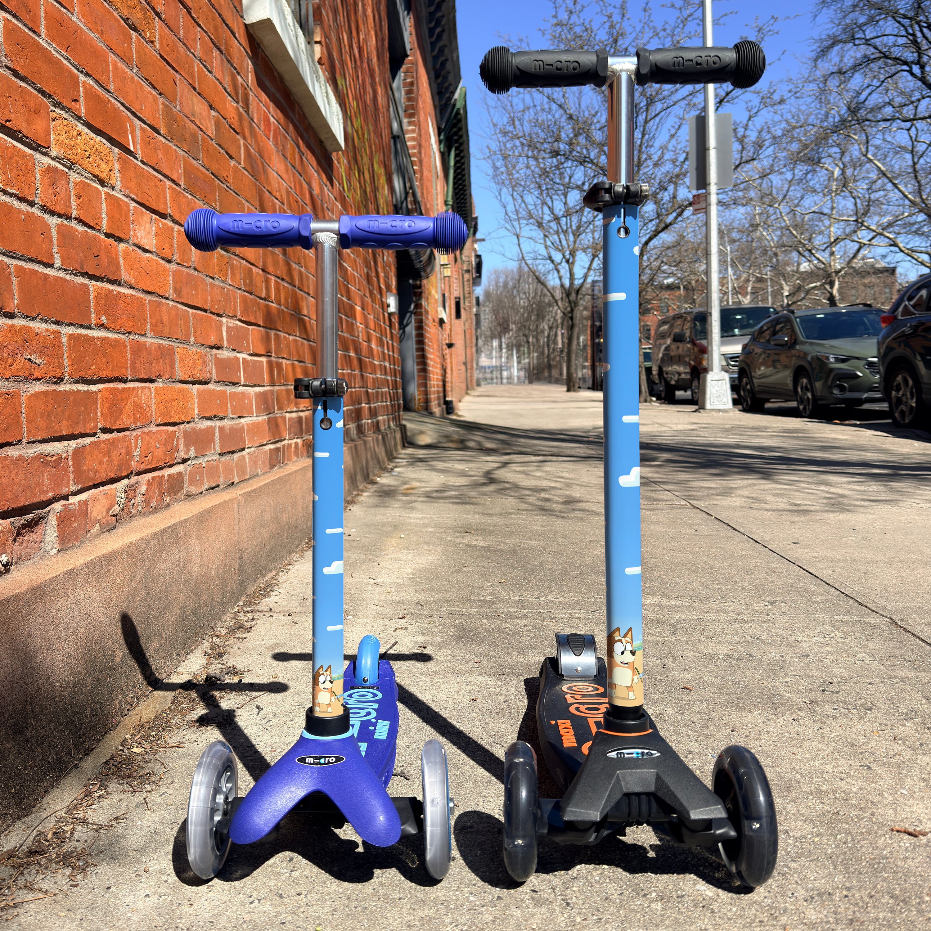 Bluey Beach vinyl scooter wrap for Micro Mini and Micro Maxi kids scooters by ScooterSkin Brooklyn