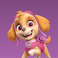 PAW Patrol Skye vinyl scooter wrap for Micro Mini and Micro Maxi kids scooters by ScooterSkin Brooklyn